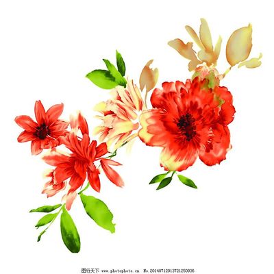 自然之笔 位图风格下的写意花卉艺术与免费素材应用