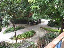 厦门吉利园 匠心独运，盆景艺术点亮花卉世界