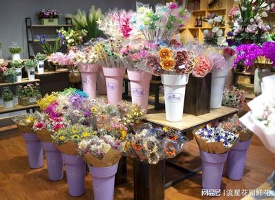 云南国色天香花卉 以流星花园之姿，将鲜花与盆景之美播撒四方