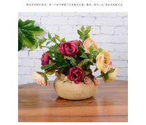 探秘花卉产品库 从传统审美到科技创新的绿色世界