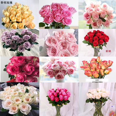 从泥土到云端 现代花卉苗木产业的数字化融合之路