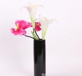 现代简约陶瓷工艺品花瓶 价格、厂家与搭配指南